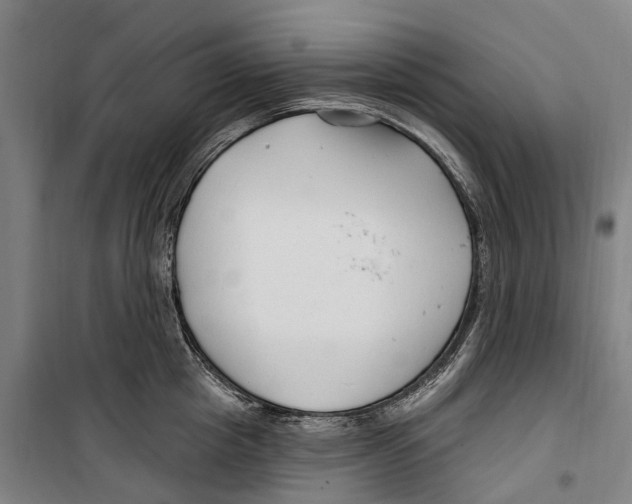 X0000099520857200806121500