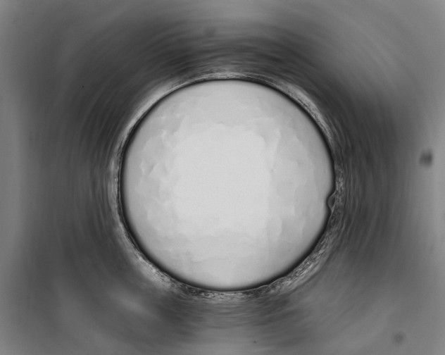 X0000099520859200806121500