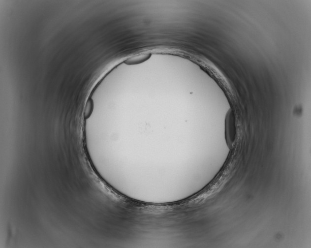 X0000099520860200806121500