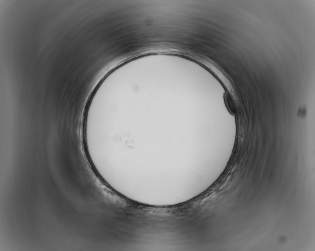 X0000099520861200806121500