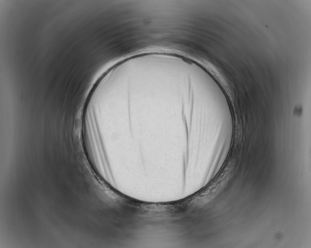 X0000099520862200806121500