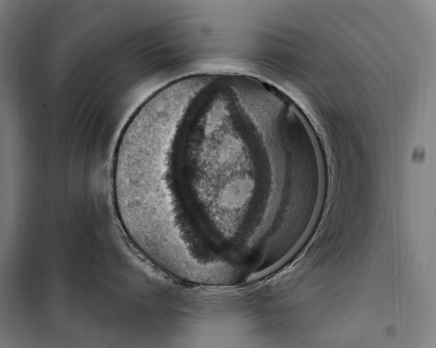 X0000099520864200806121500