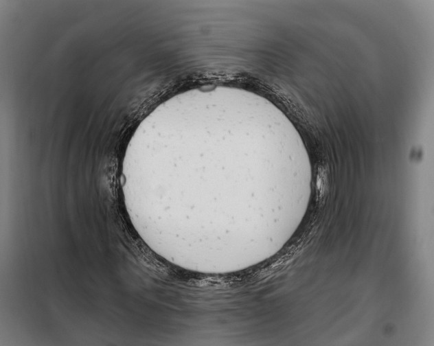 X0000099520867200806121500