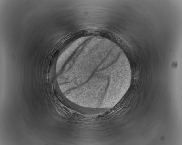 X0000099520868200806121500