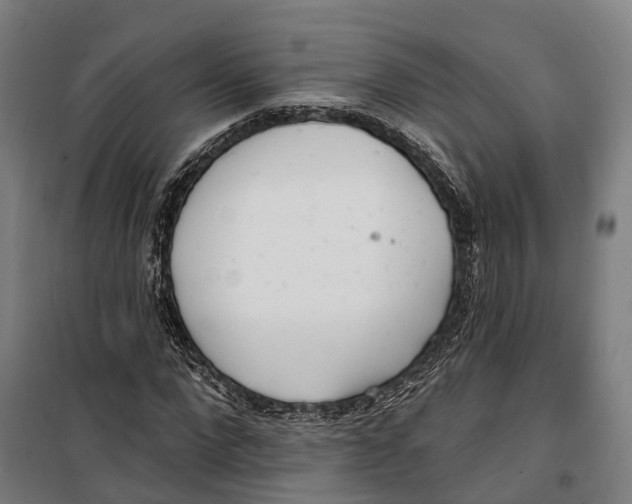 X0000099520872200806121500