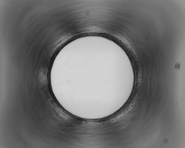 X0000099520873200806121500