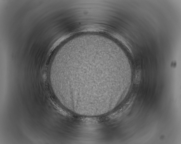 X0000099520874200806121500