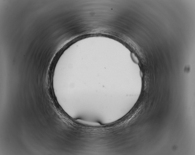 X0000099520876200806121500