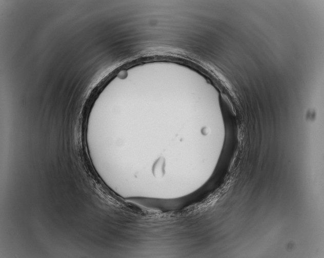 X0000099520877200806121500