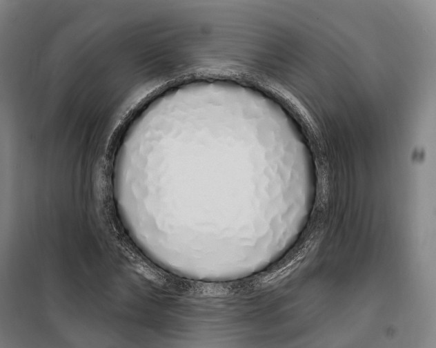 X0000099520878200806121500