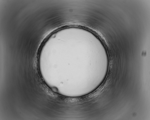 X0000099520879200806121459