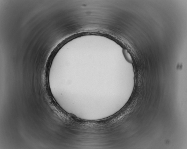 X0000099520880200806121459