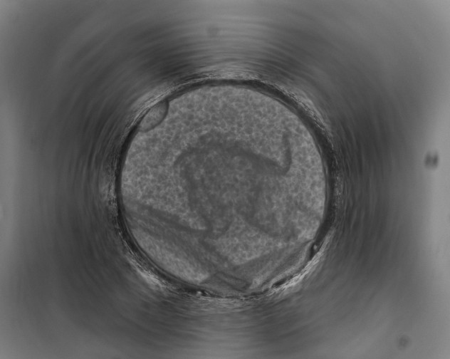 X0000099520881200806121459