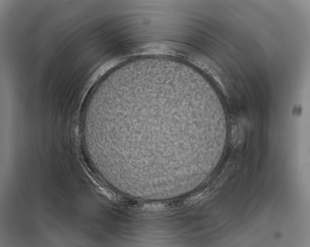 X0000099520882200806121459