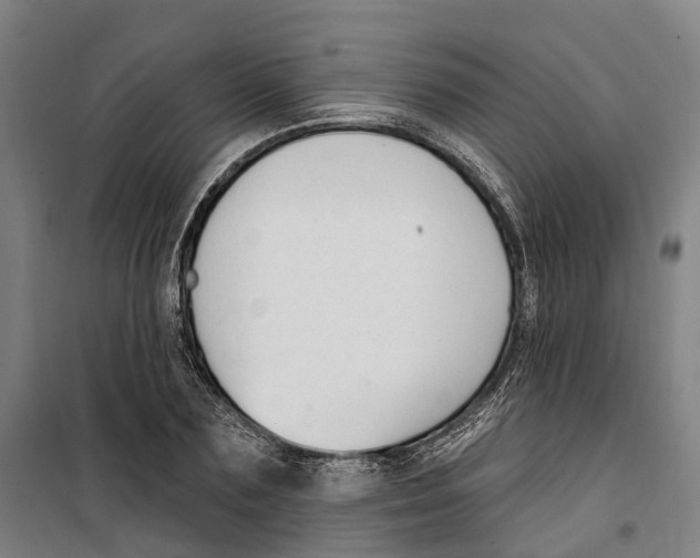 X0000099520883200806121459