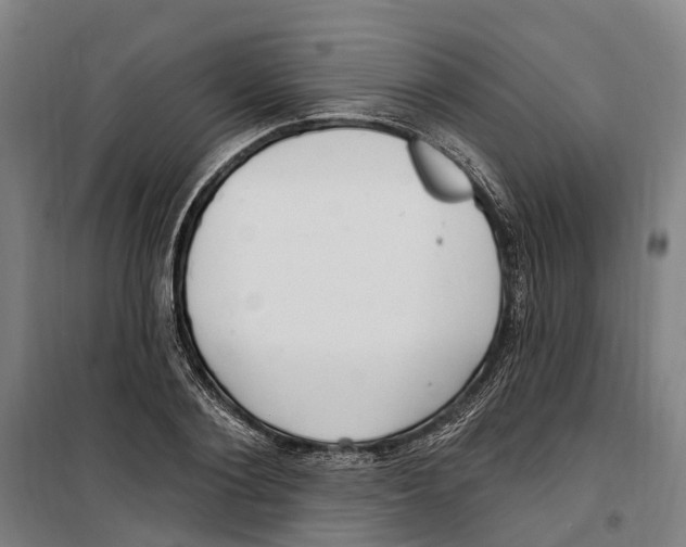 X0000099520884200806121459