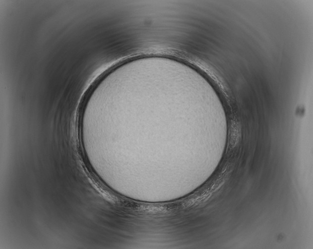 X0000099520886200806121459