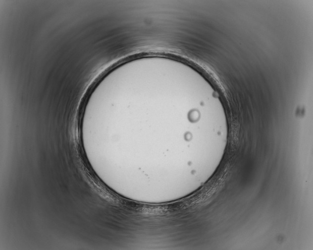 X0000099520887200806121459