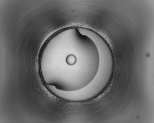 X0000099520888200806121459