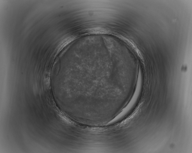 X0000099520889200806121459