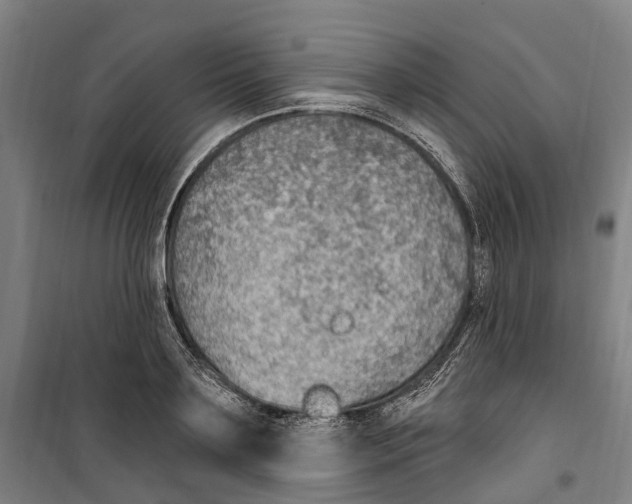 X0000099520891200806121459