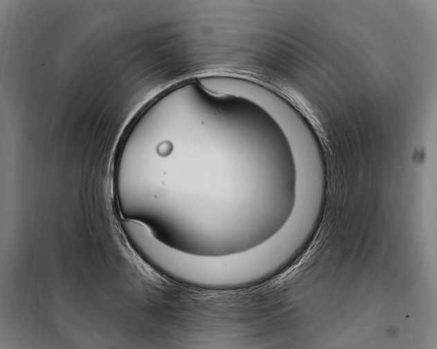 X0000099520892200806121459