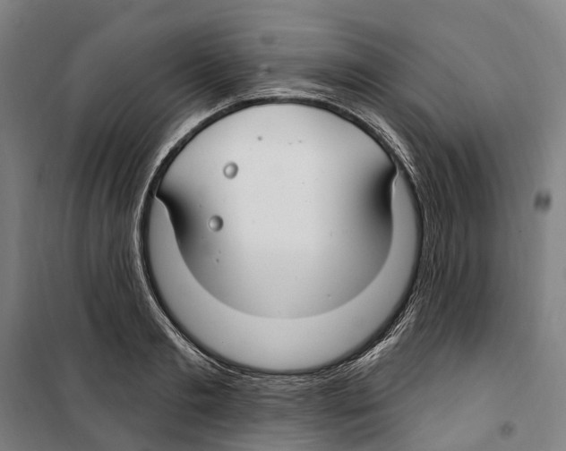 X0000099520893200806121459