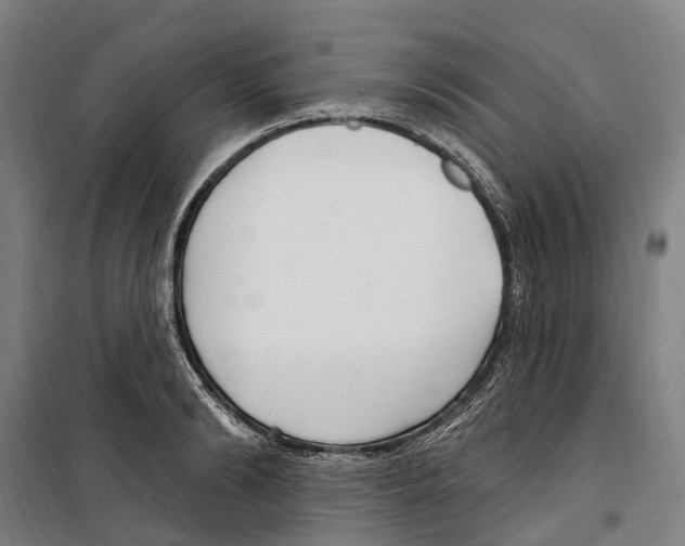 X0000099520894200806121459