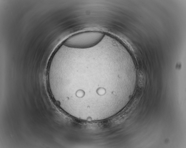 X0000099520895200806121459