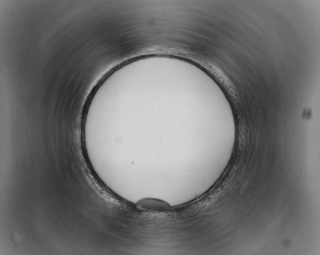 X0000099520896200806121459