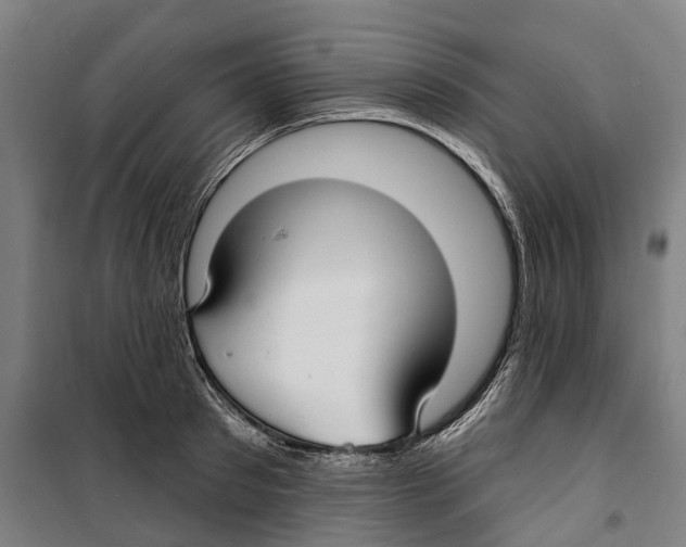 X0000099520897200806121459