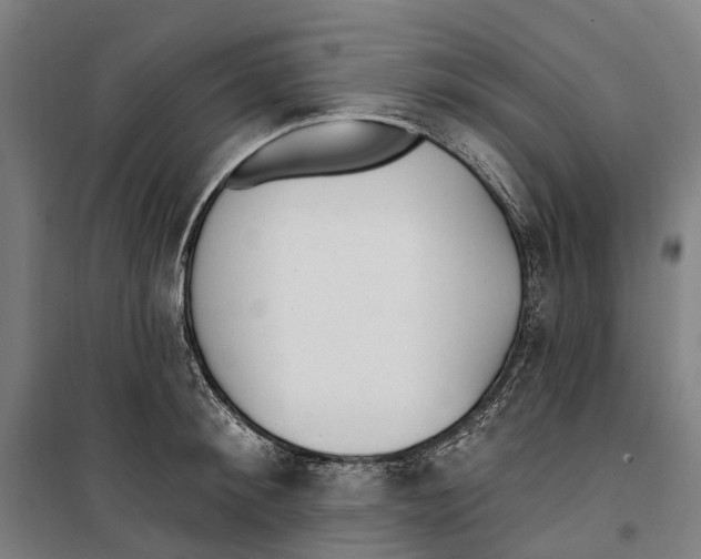 X0000099520900200806121459