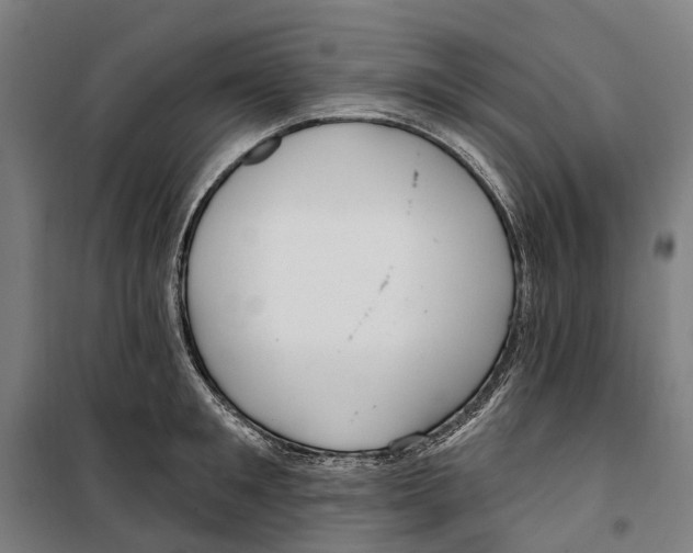 X0000099520901200806121459