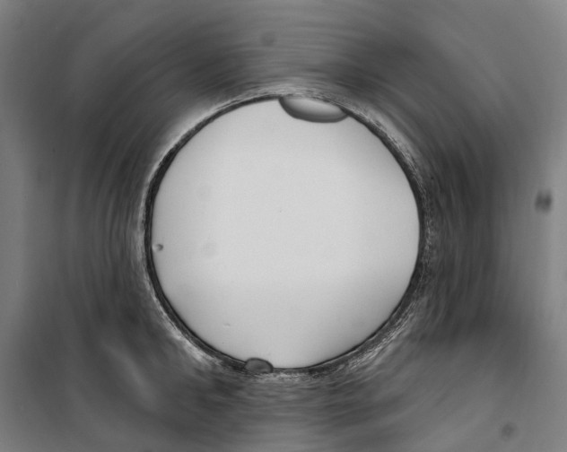 X0000099520902200806121459