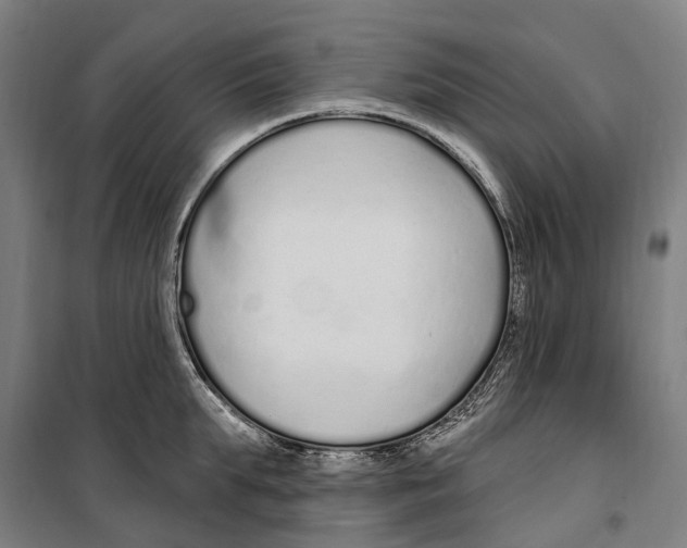 X0000099520903200806121459