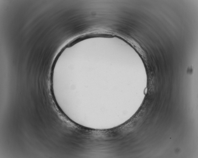 X0000099520904200806121459