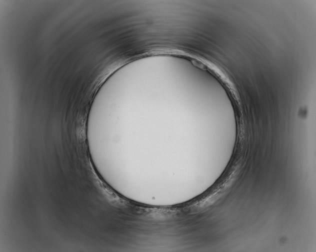 X0000099520905200806121459