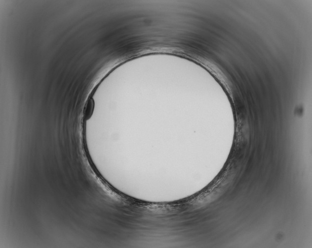 X0000099520906200806121459