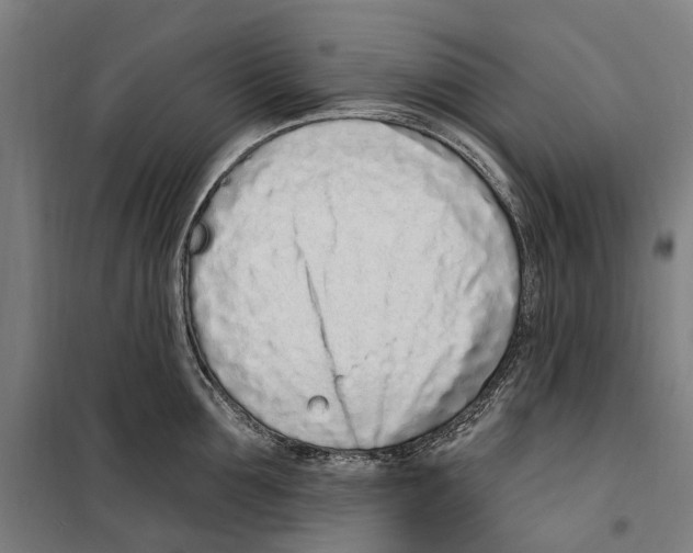 X0000099520907200806121459