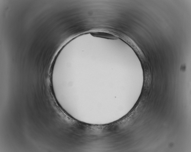 X0000099520908200806121459