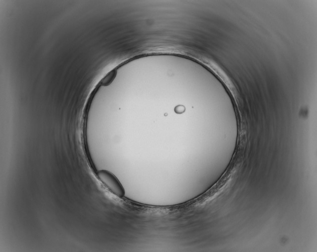 X0000099520909200806121459