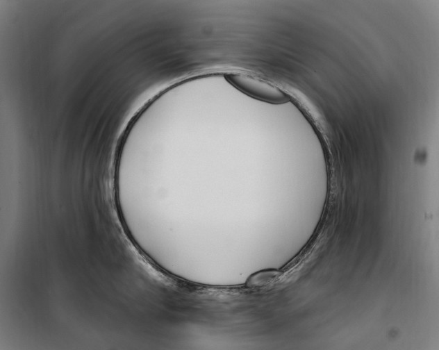 X0000099520910200806121459