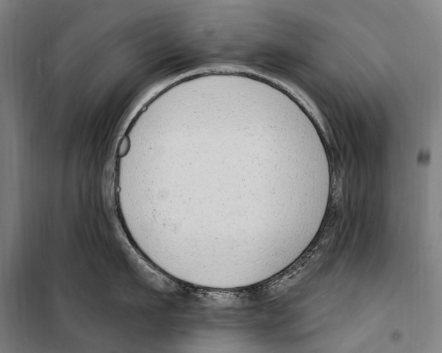 X0000099520911200806121459