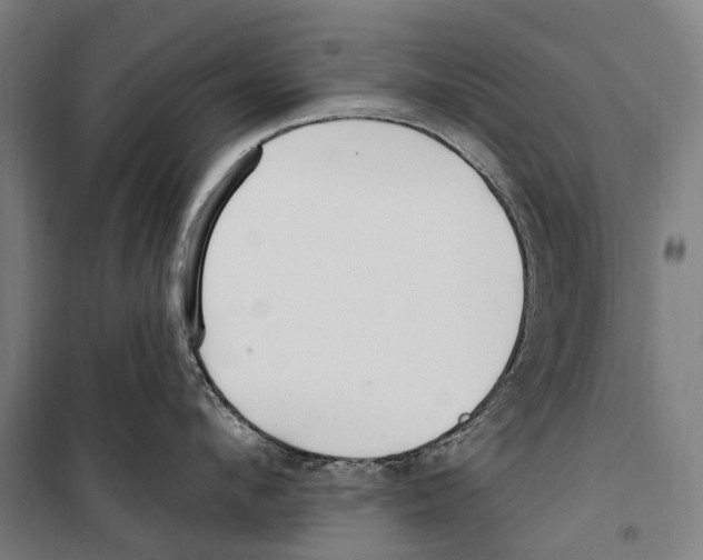 X0000099520912200806121459