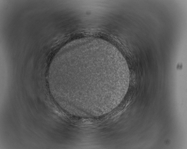 X0000099520913200806121458