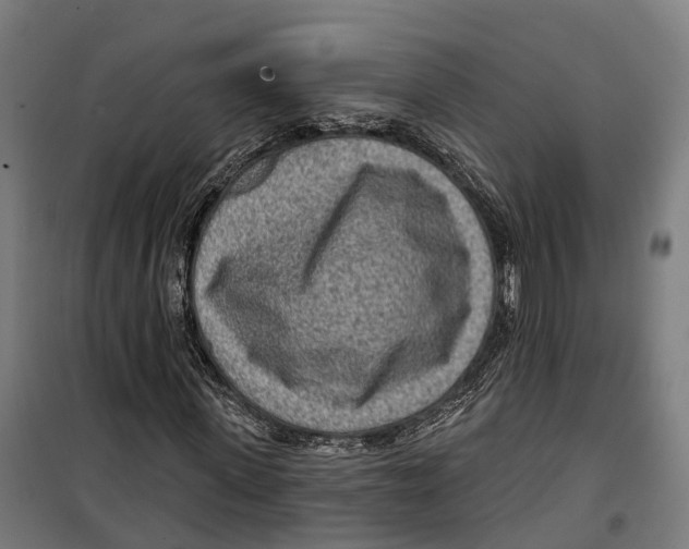 X0000099520915200806121458