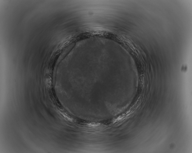 X0000099520916200806121458