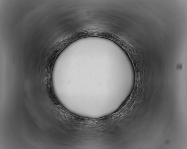 X0000099520917200806121458