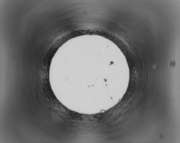 X0000099520918200806121458