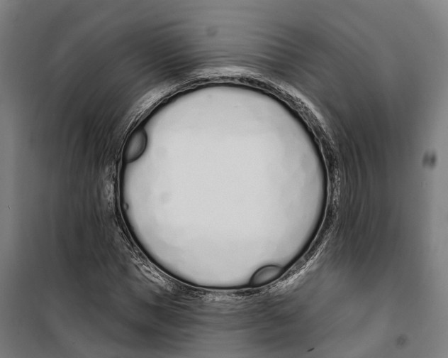 X0000099520921200806121458